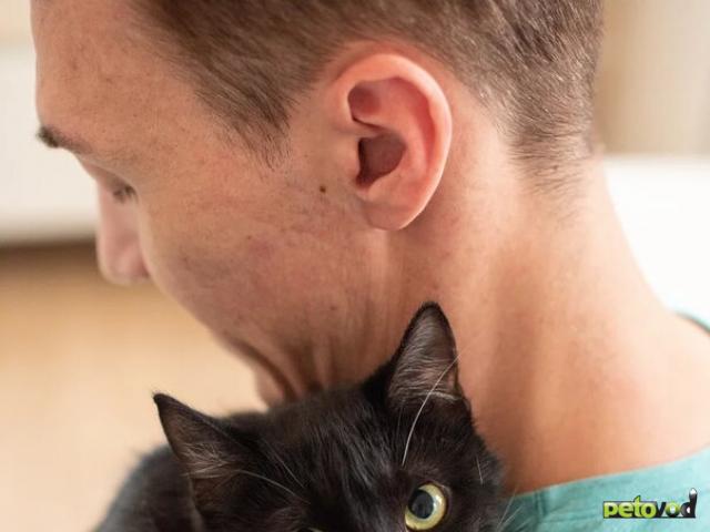 Отдам в дар: Прекрасная Эльза в поисках дома фото2