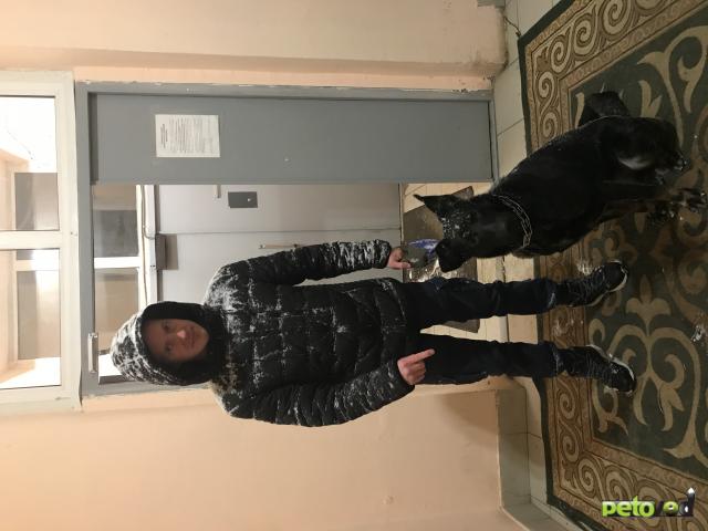 Отдам в дар: Отдам в самые добрые руки  фото2